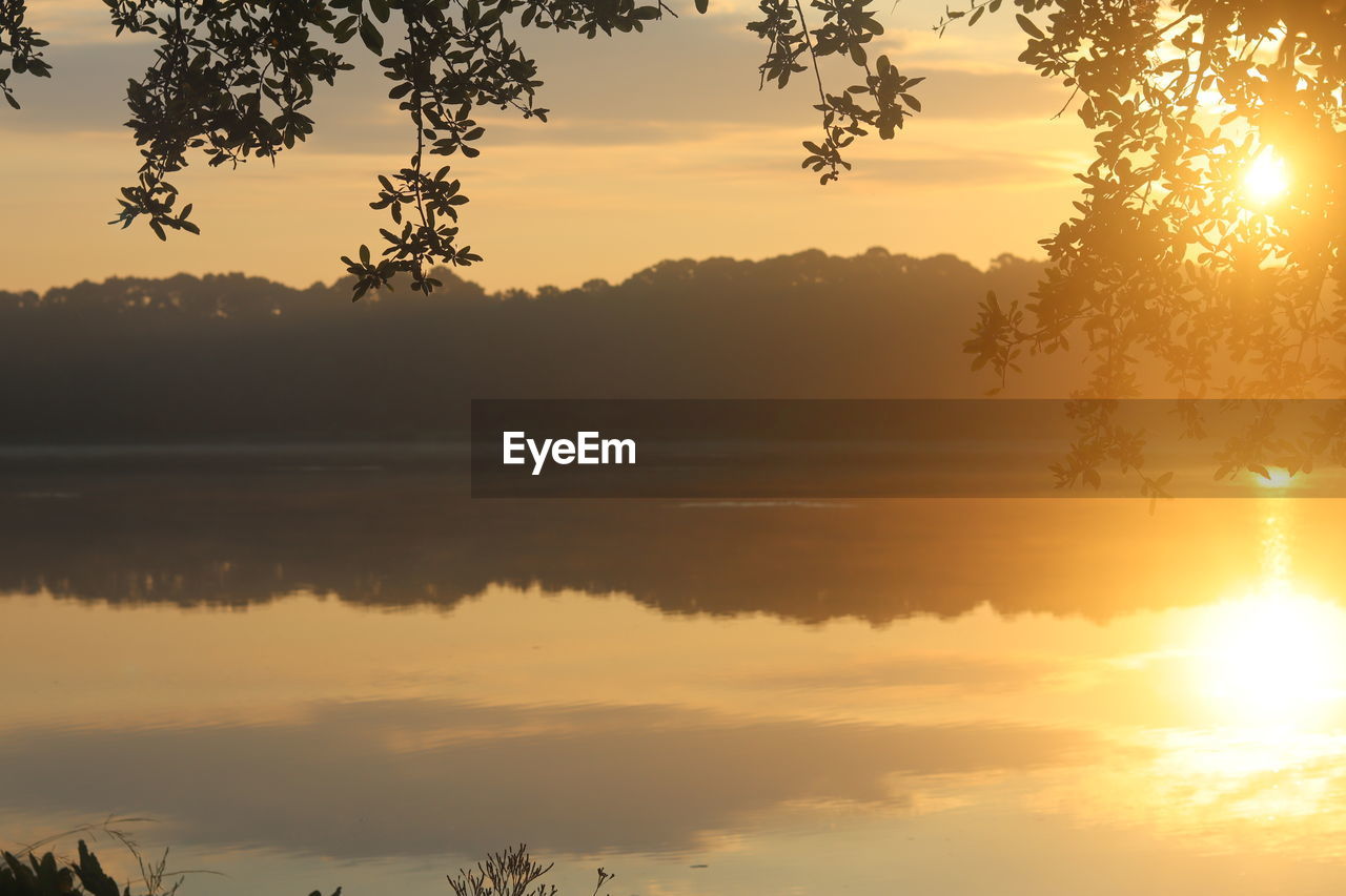 SILHOUETTE TREES BY LAKE AGAINST SKY DURING SUNSET