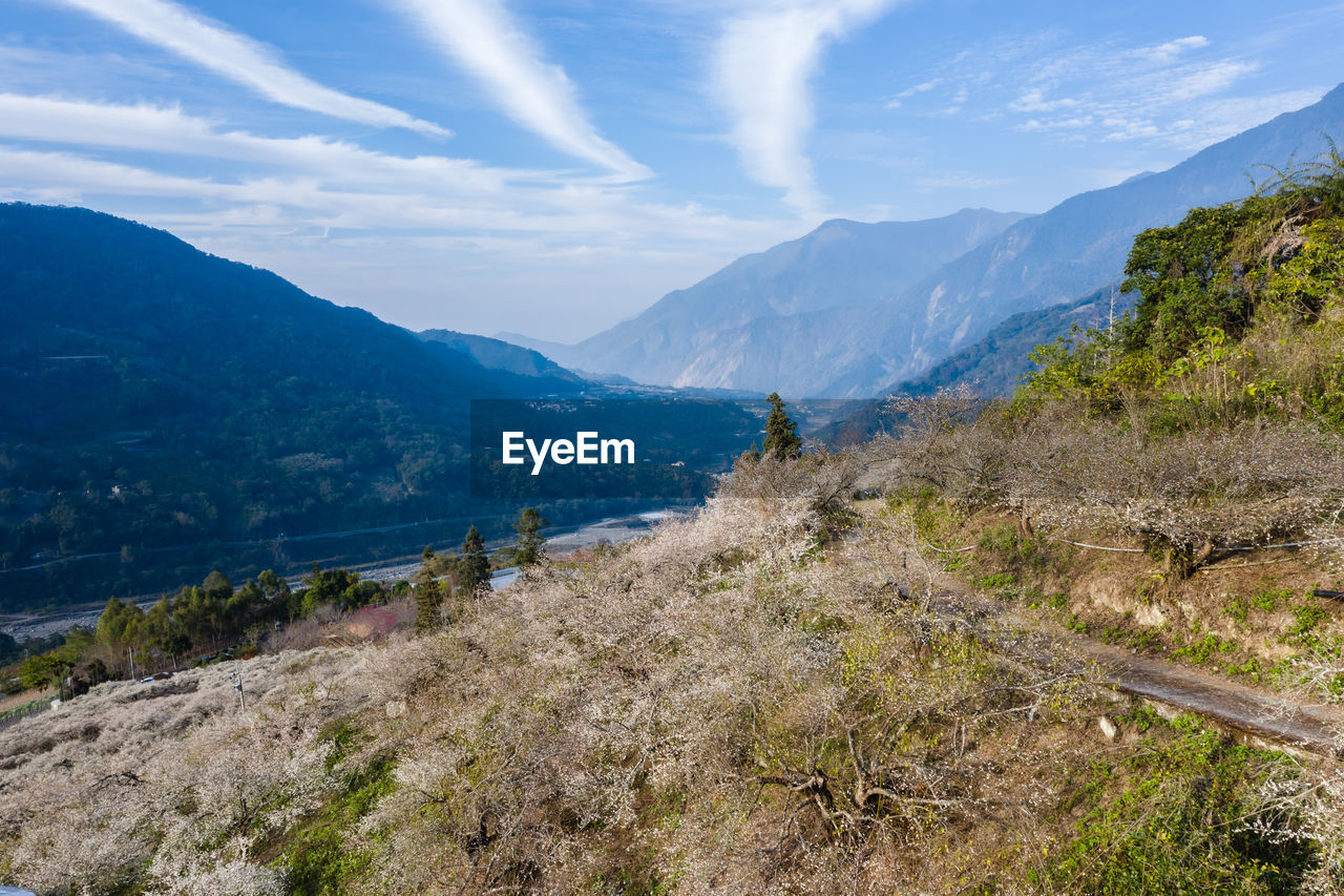 PANORAMIC VIEW OF LAND AGAINST SKY