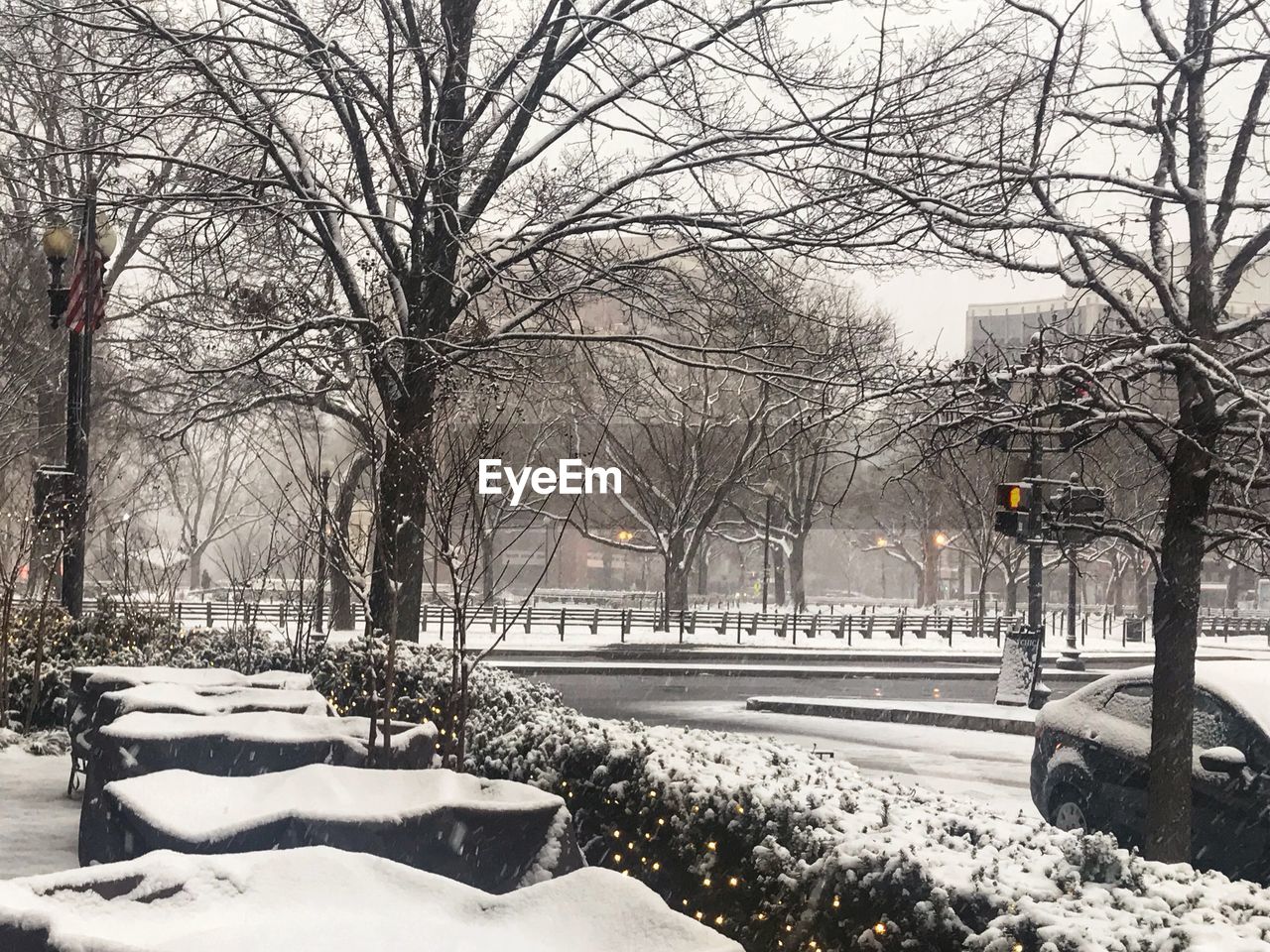 BARE TREES BY SNOW COVERED STREET