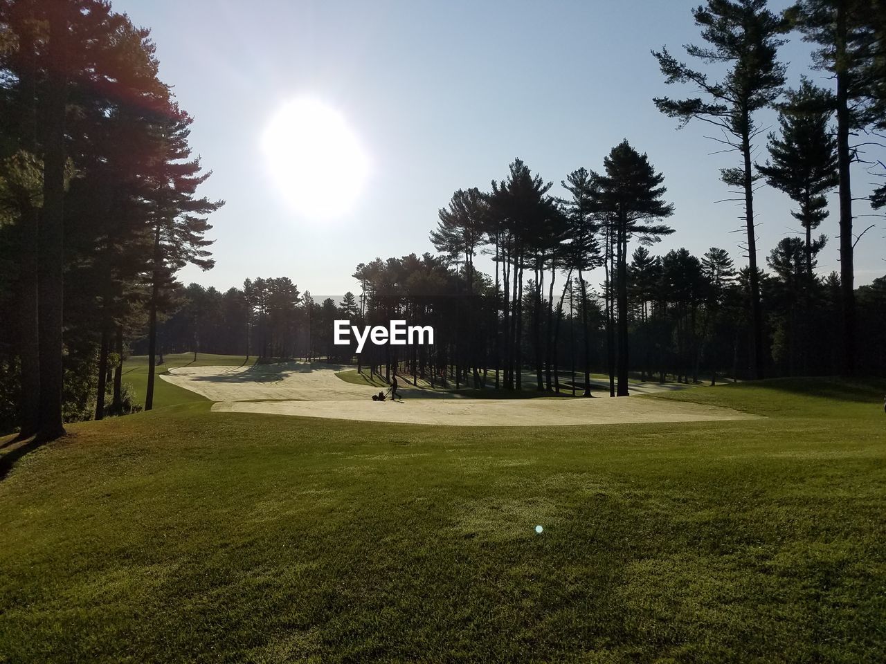 VIEW OF GOLF COURSE AGAINST TREES