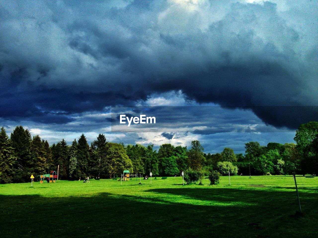 Trees in park against cloudy sky