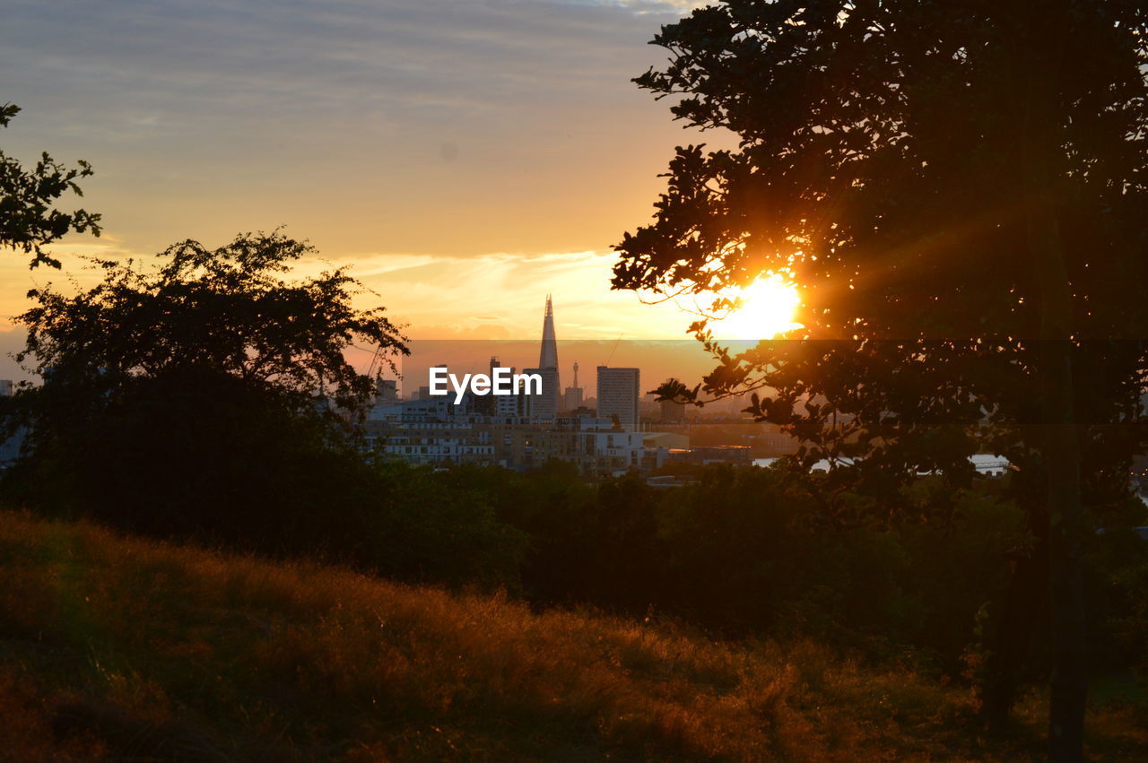 Buildings and trees against sky during sunset