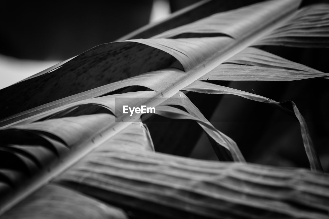 CLOSE-UP OF OPEN BOOK ON WICKER BASKET