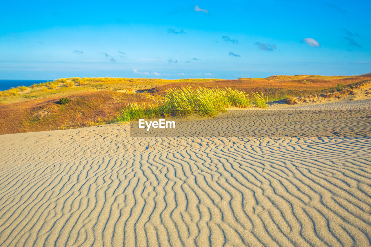 SCENIC VIEW OF ARID LANDSCAPE