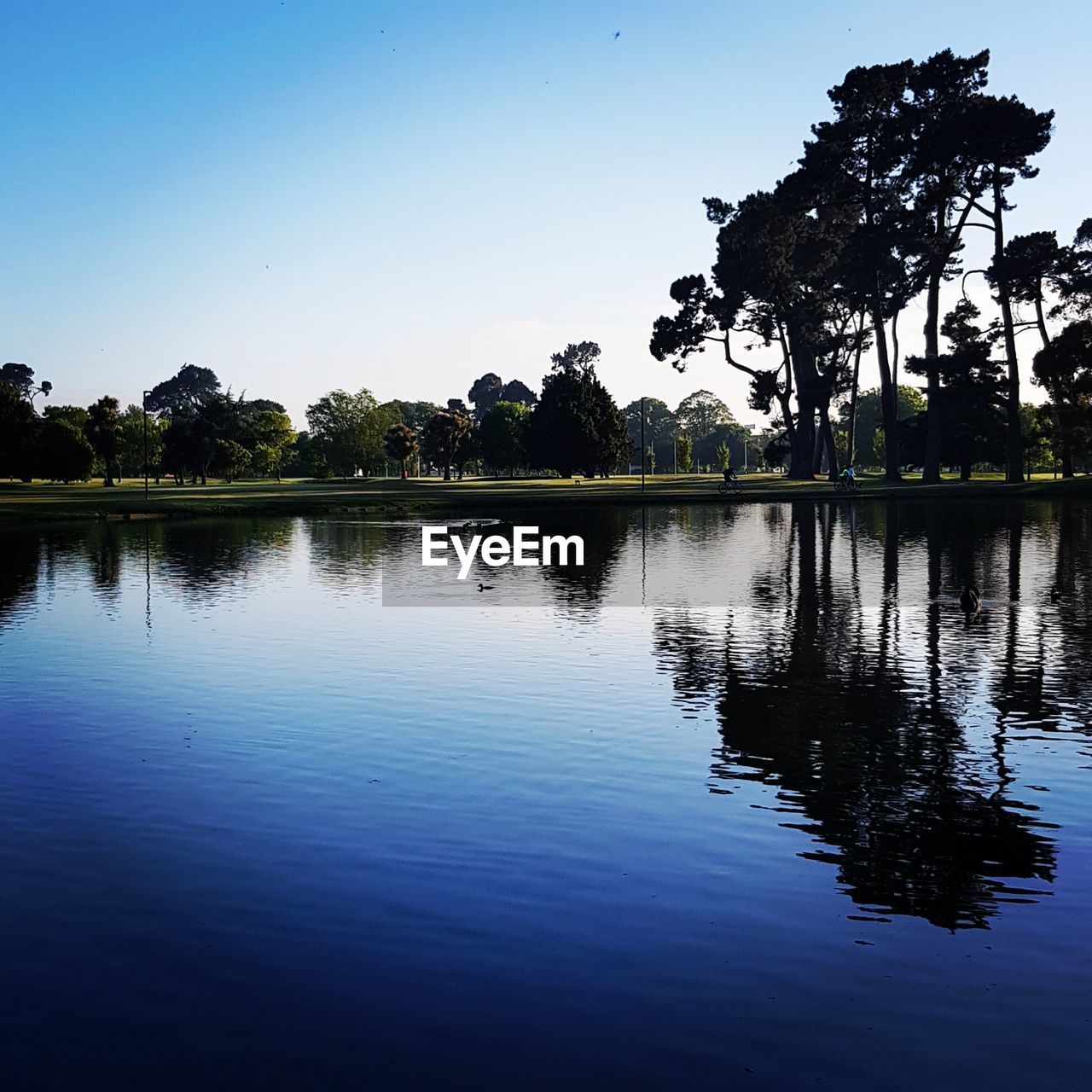 SILHOUETTE TREES BY LAKE AGAINST CLEAR SKY