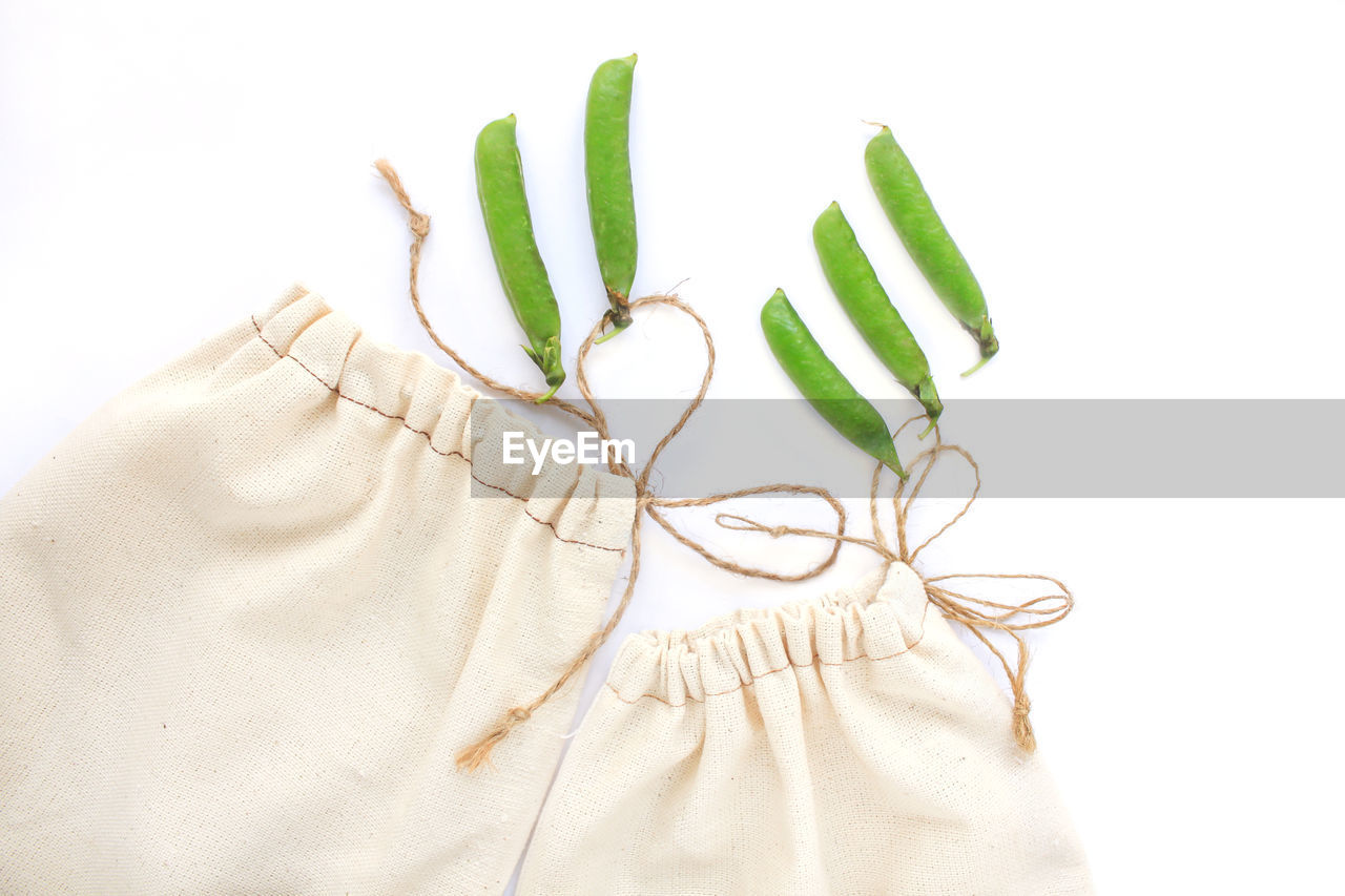 clothing, studio shot, indoors, green, no people, white background, plant, textile, white, nature, plant part, leaf, cut out