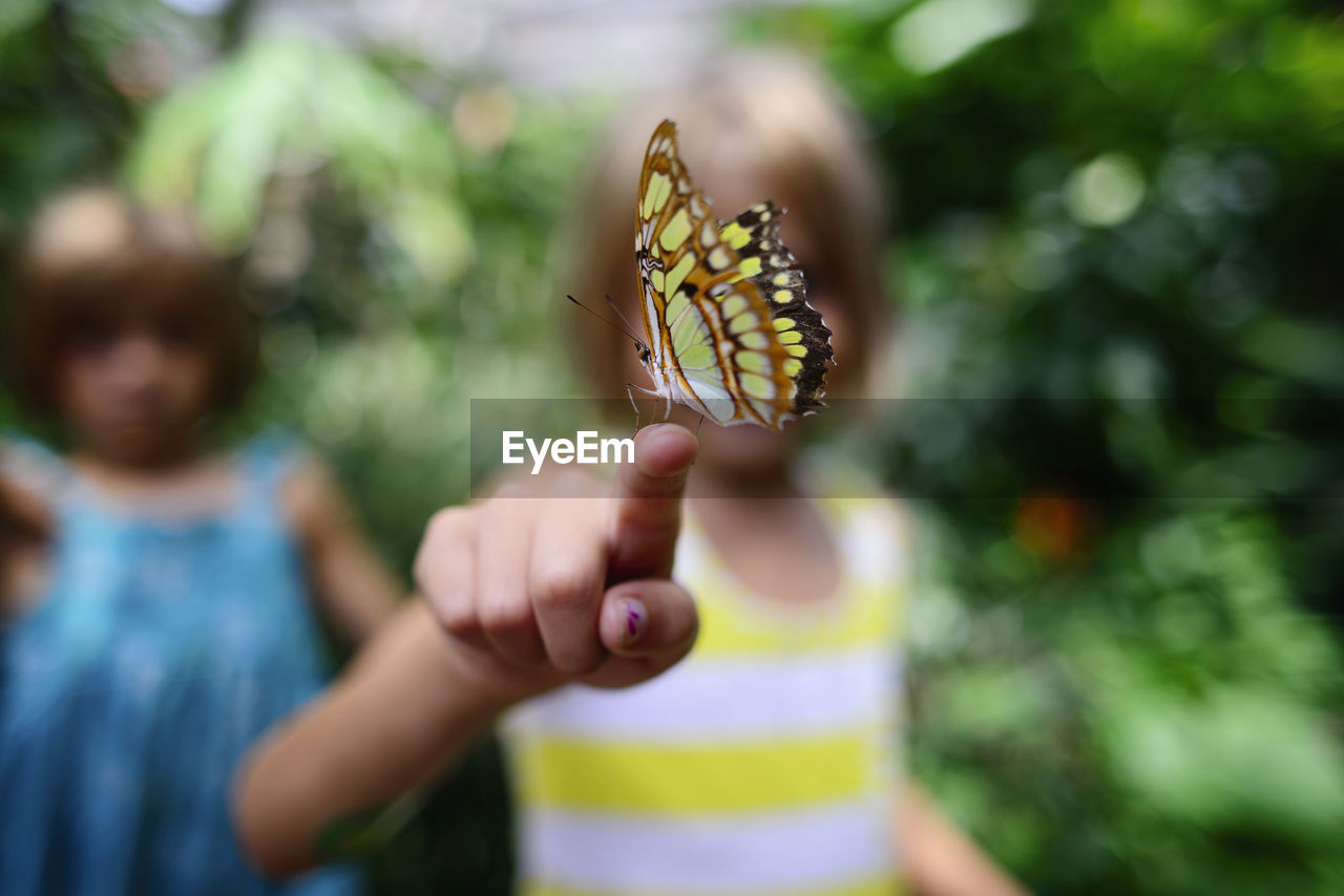 Butterfly on girl's finger at park