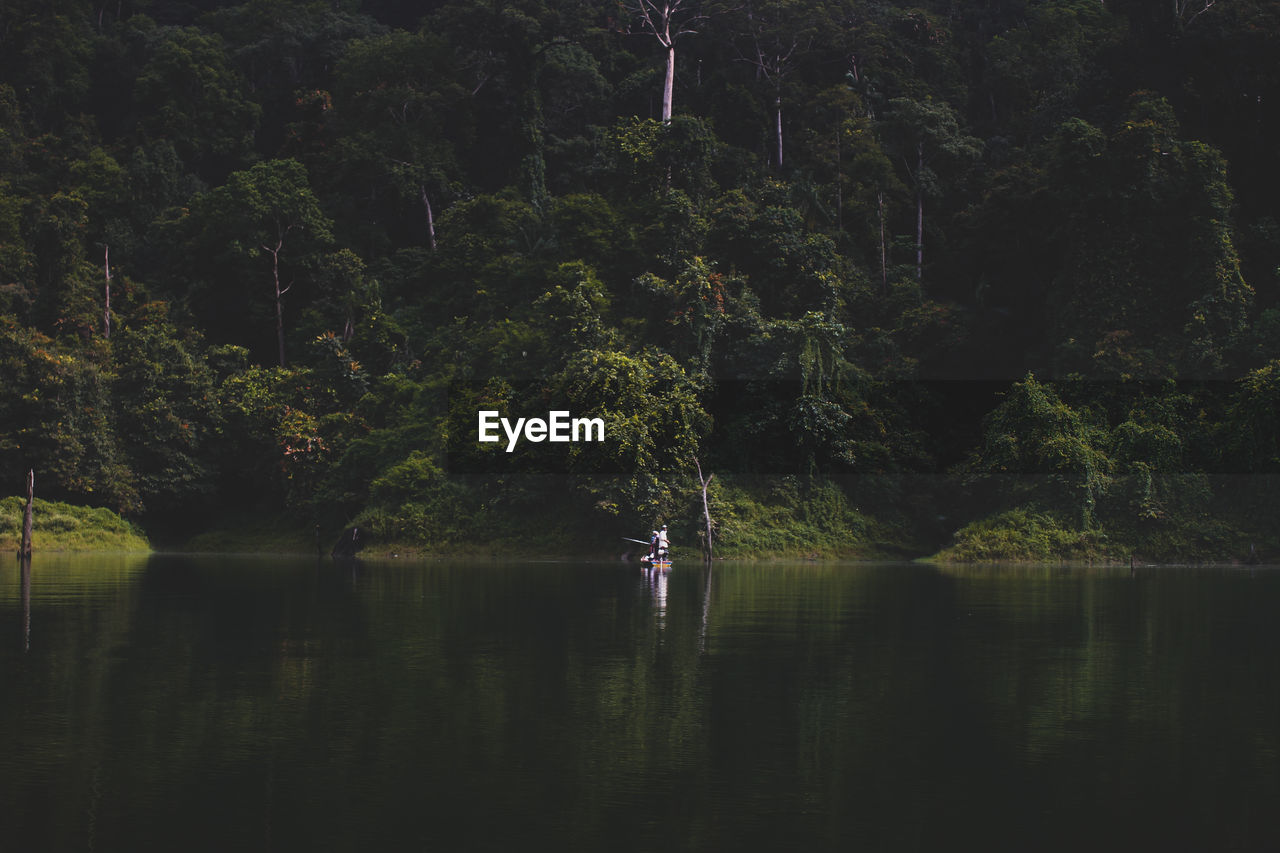 SCENIC VIEW OF LAKE BY TREES IN FOREST