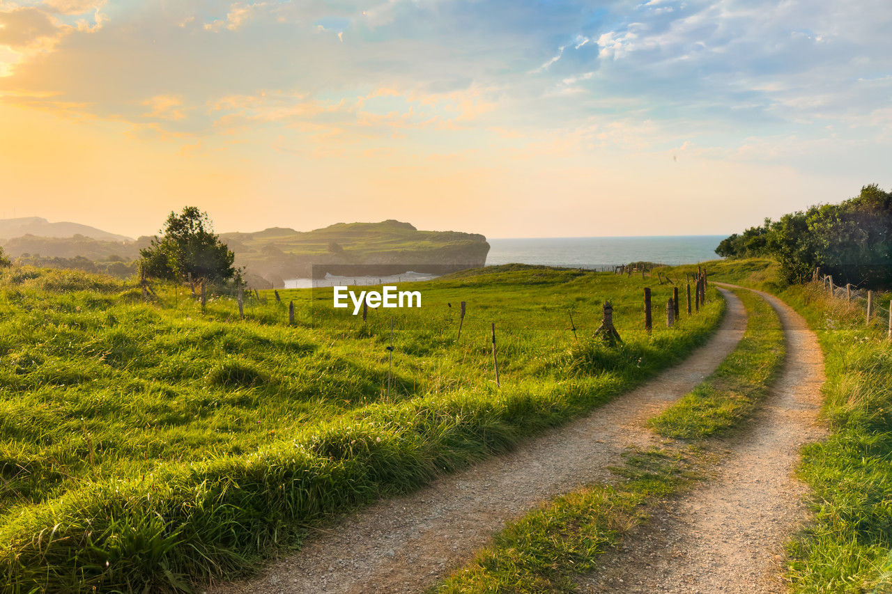 scenic view of field against sky during sunset