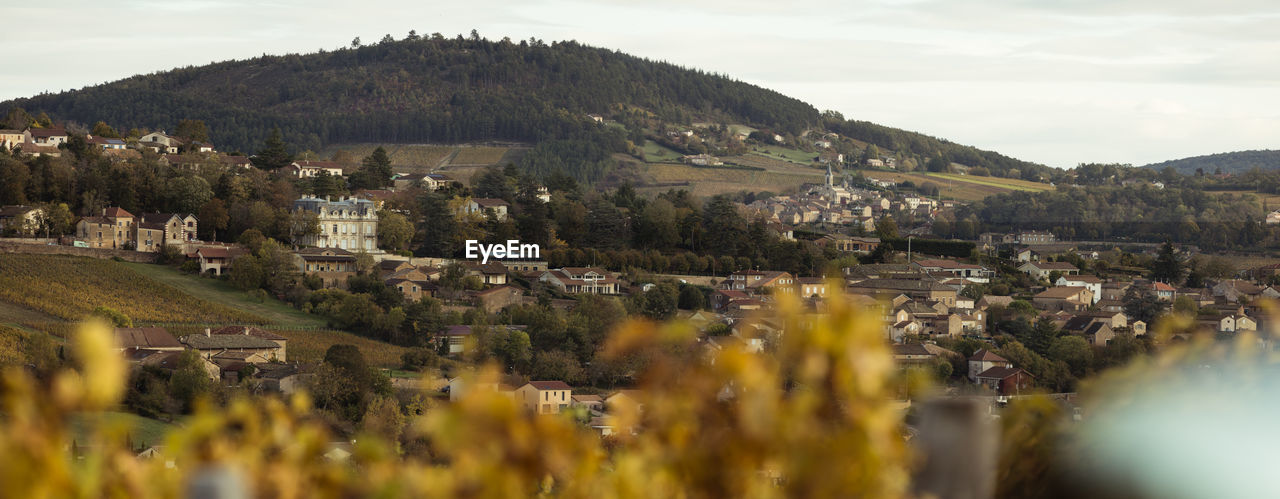 plant, landscape, hill, sky, architecture, nature, land, environment, building, scenics - nature, building exterior, rural area, autumn, tree, city, no people, built structure, cloud, beauty in nature, house, residential district, rural scene, travel destinations, village, outdoors, town, morning, travel, focus on background, flower, field, mountain range, day, tranquility, tourism, aerial photography, valley, agriculture