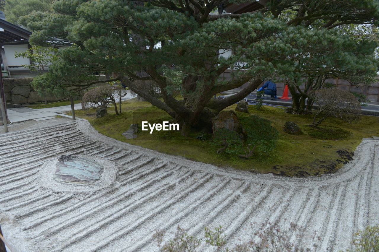 HIGH ANGLE VIEW OF TREES AND BUILDINGS