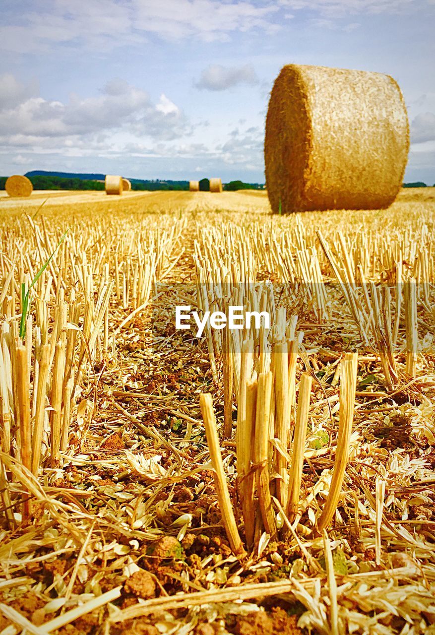 Close-up of hay bales on field against sky