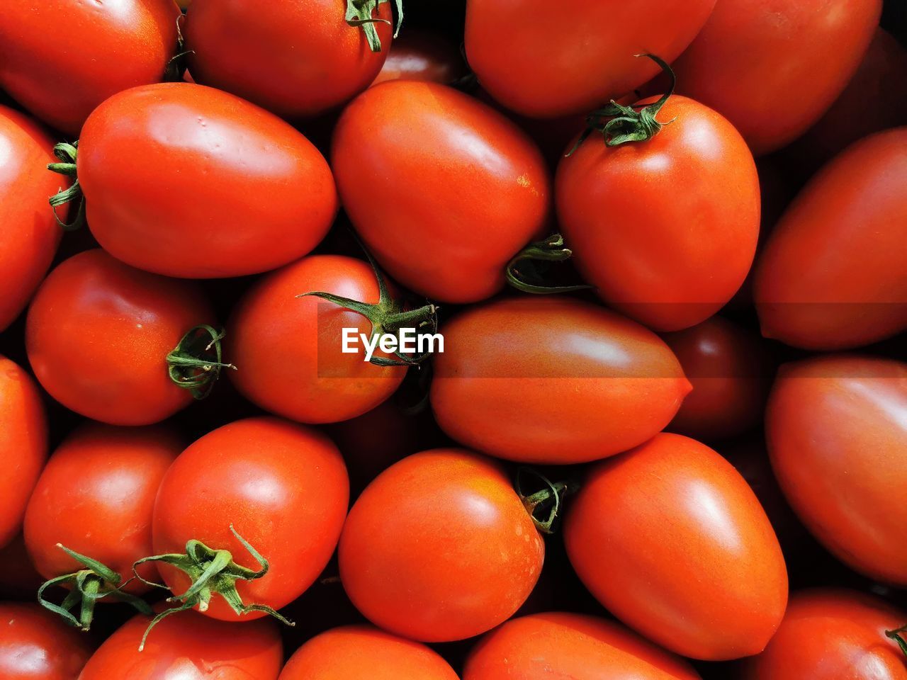 FULL FRAME SHOT OF TOMATOES