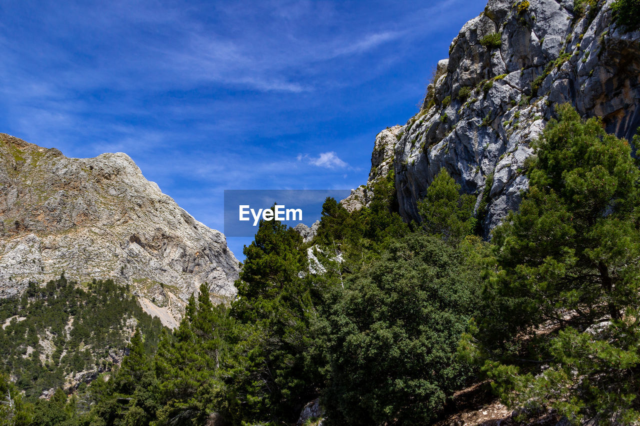 Scenic view at landscape between gorg blau and soller on balearic island mallorca, spain