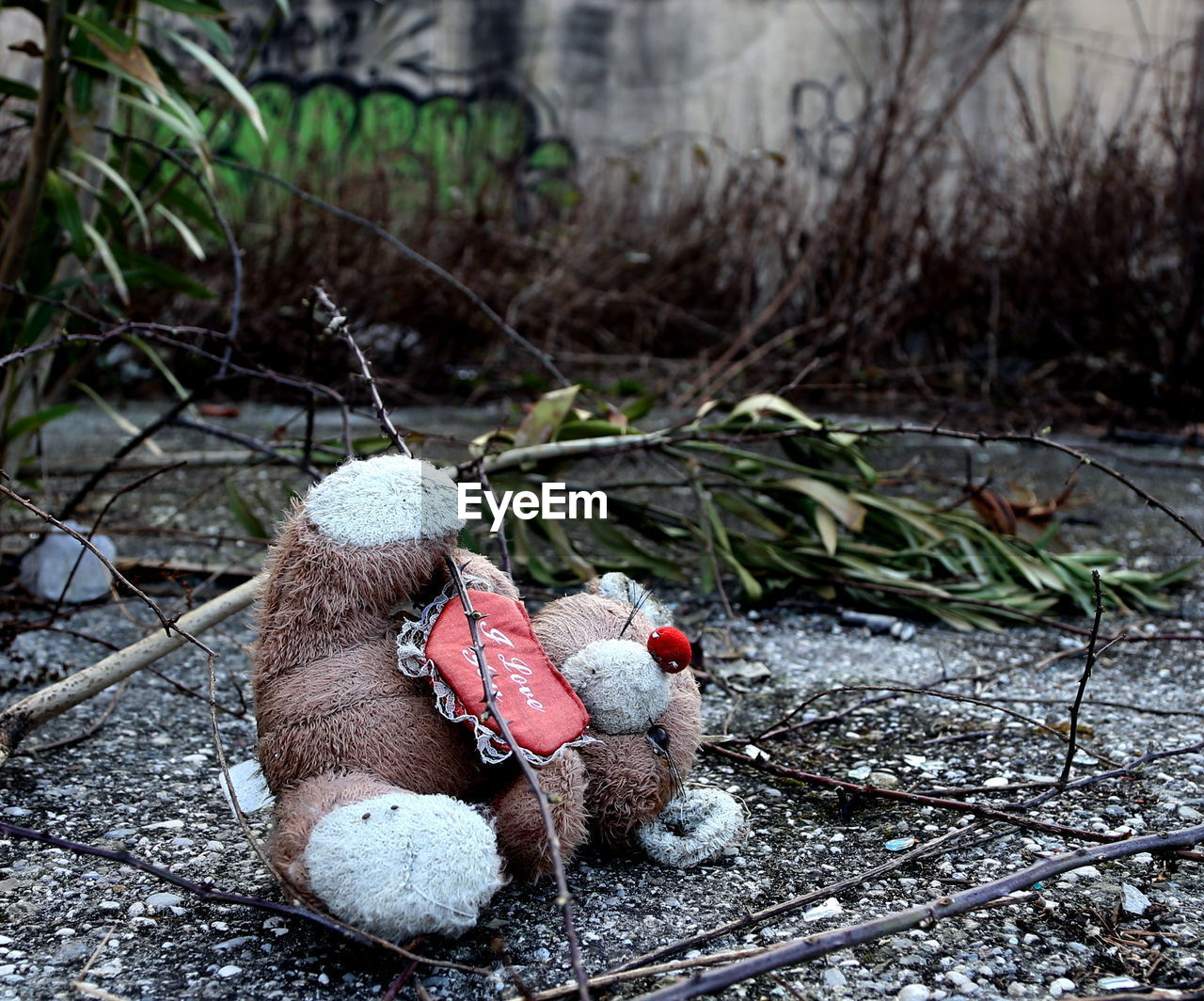 Abandoned stuffed toy on field