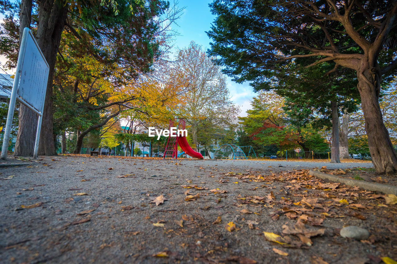 Playground and trees in park