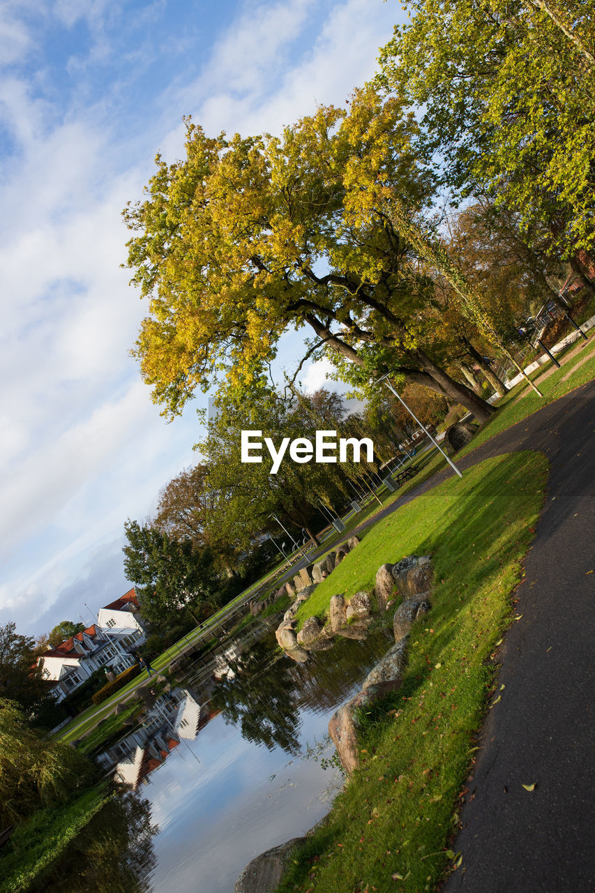 SCENIC VIEW OF TREES BY LANDSCAPE AGAINST SKY