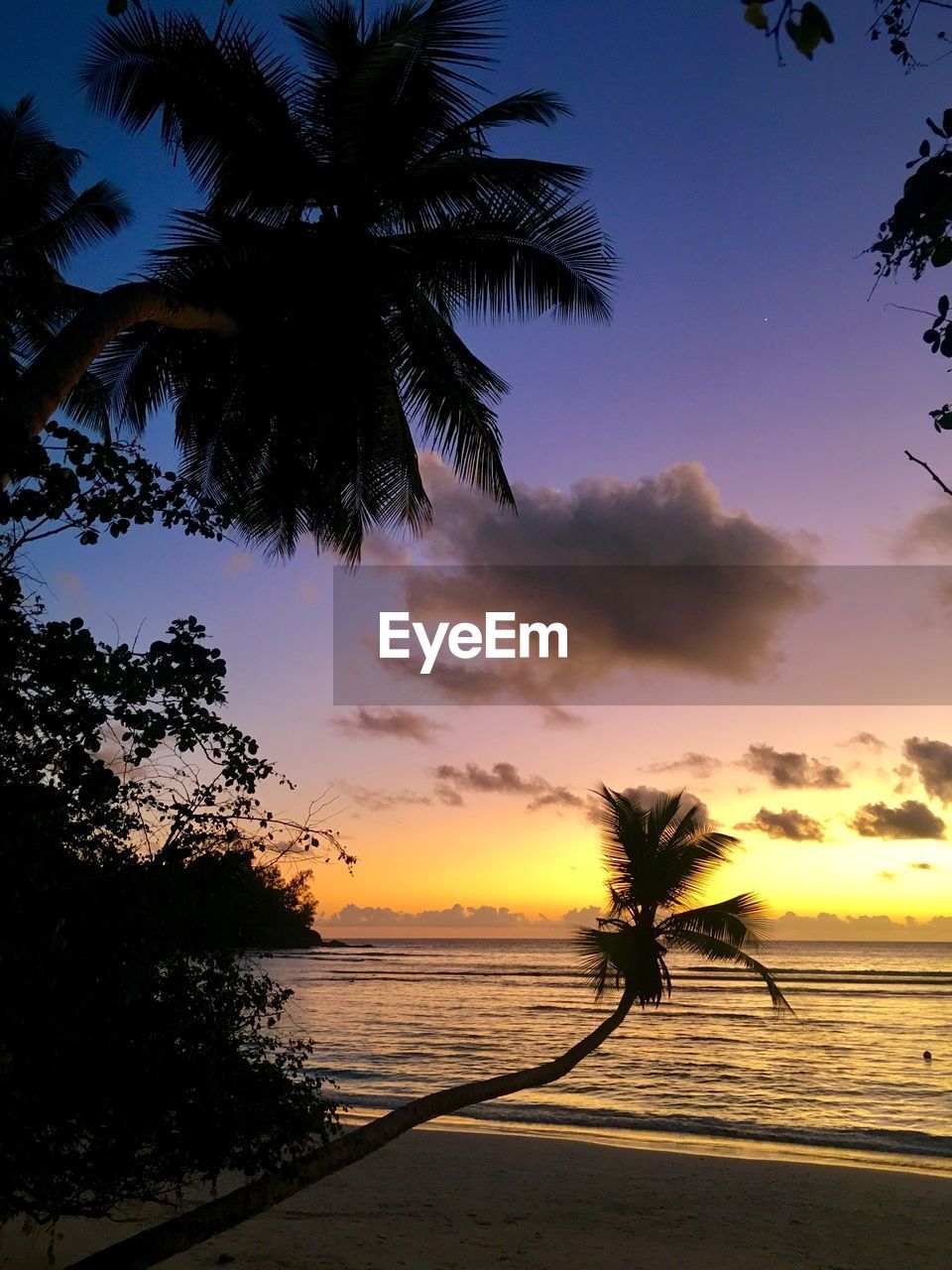 Silhouette palm trees at beach against sky during sunset