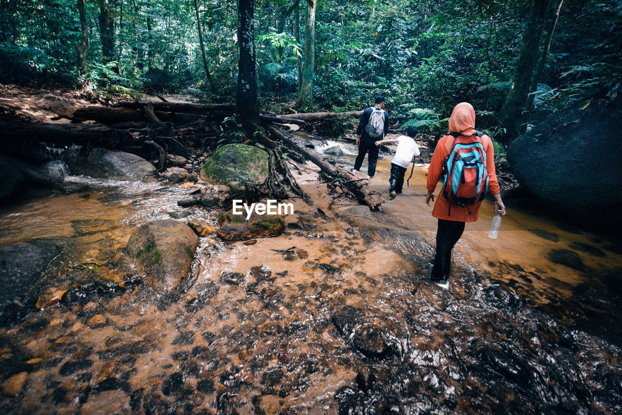 Rear view of family hiking in forest