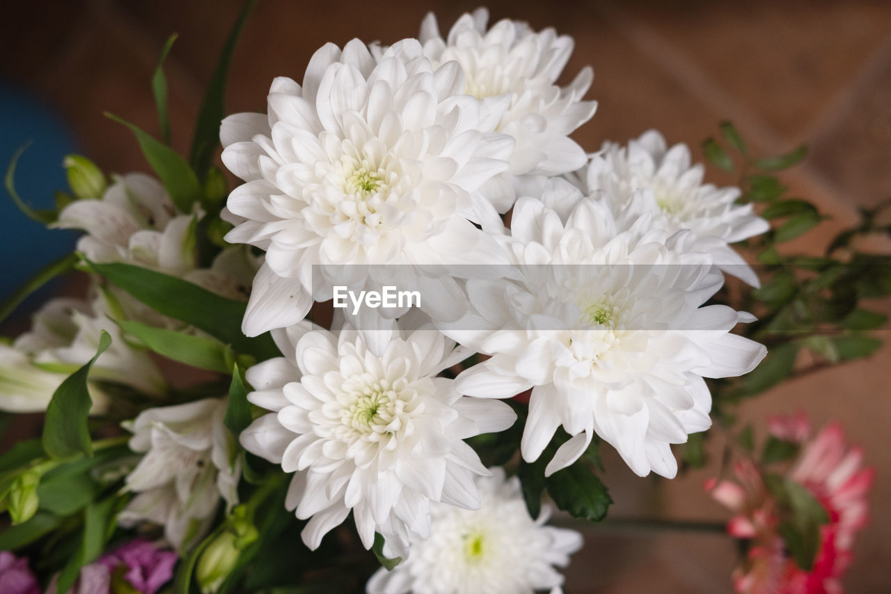 flower, flowering plant, plant, beauty in nature, freshness, white, close-up, flower head, nature, fragility, petal, bouquet, inflorescence, flower arrangement, no people, chrysanths, focus on foreground, floristry, blossom, growth, floral design, springtime, indoors, arrangement