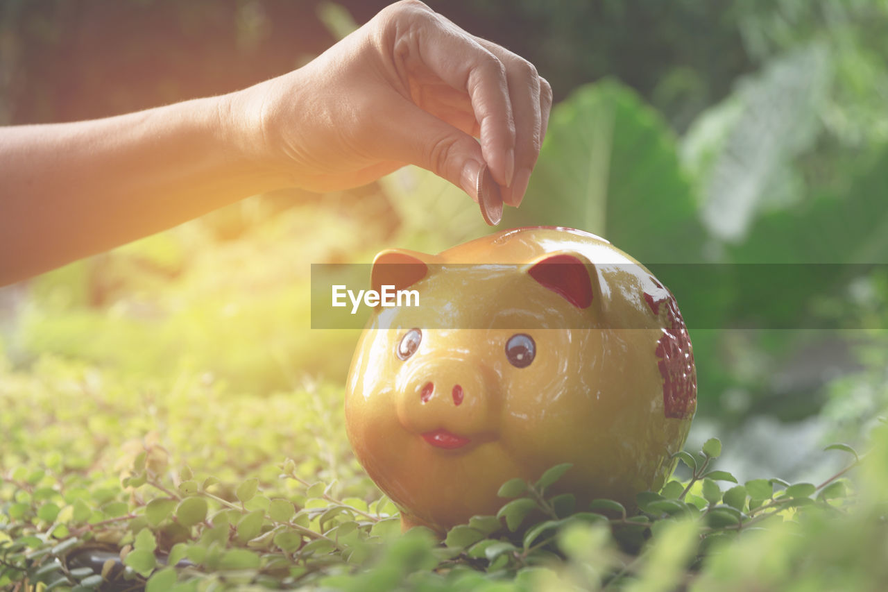 Cropped hand of woman putting coin yellow piggy bank on field