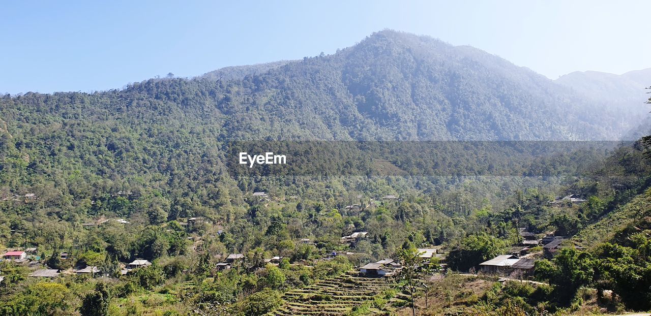 HIGH ANGLE VIEW OF TREES ON LAND AGAINST SKY