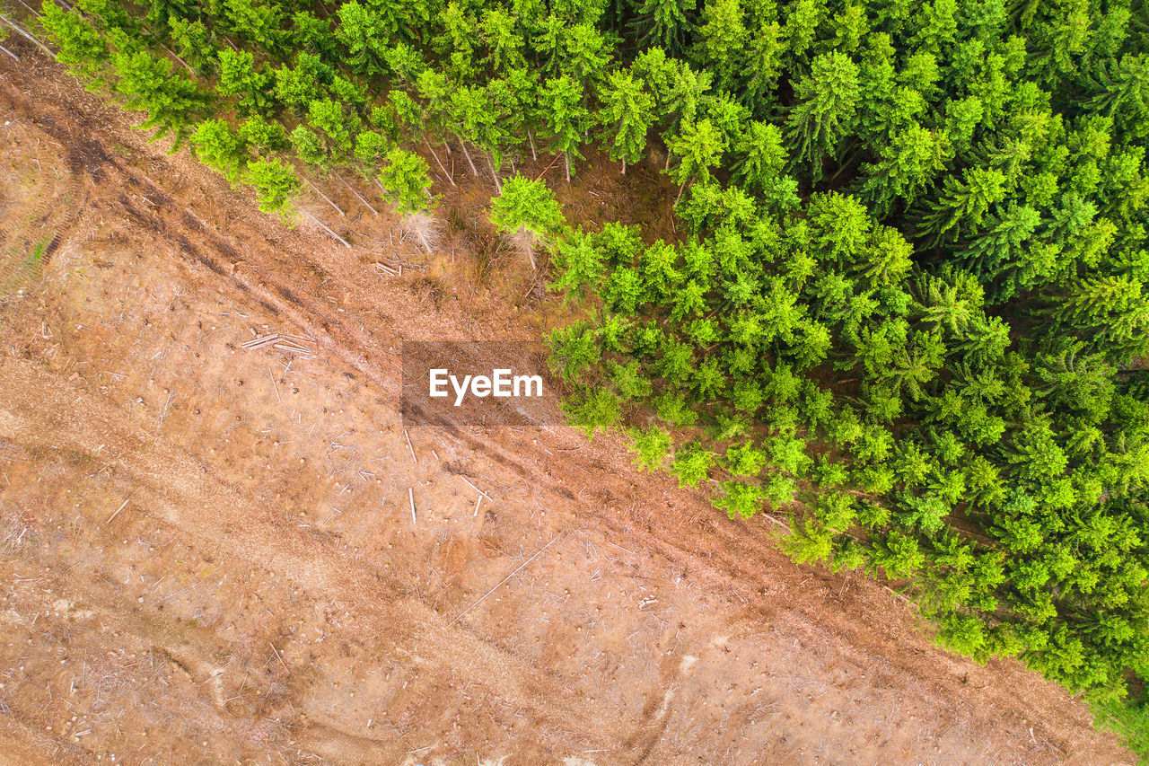 VIEW OF A DIRT ROAD