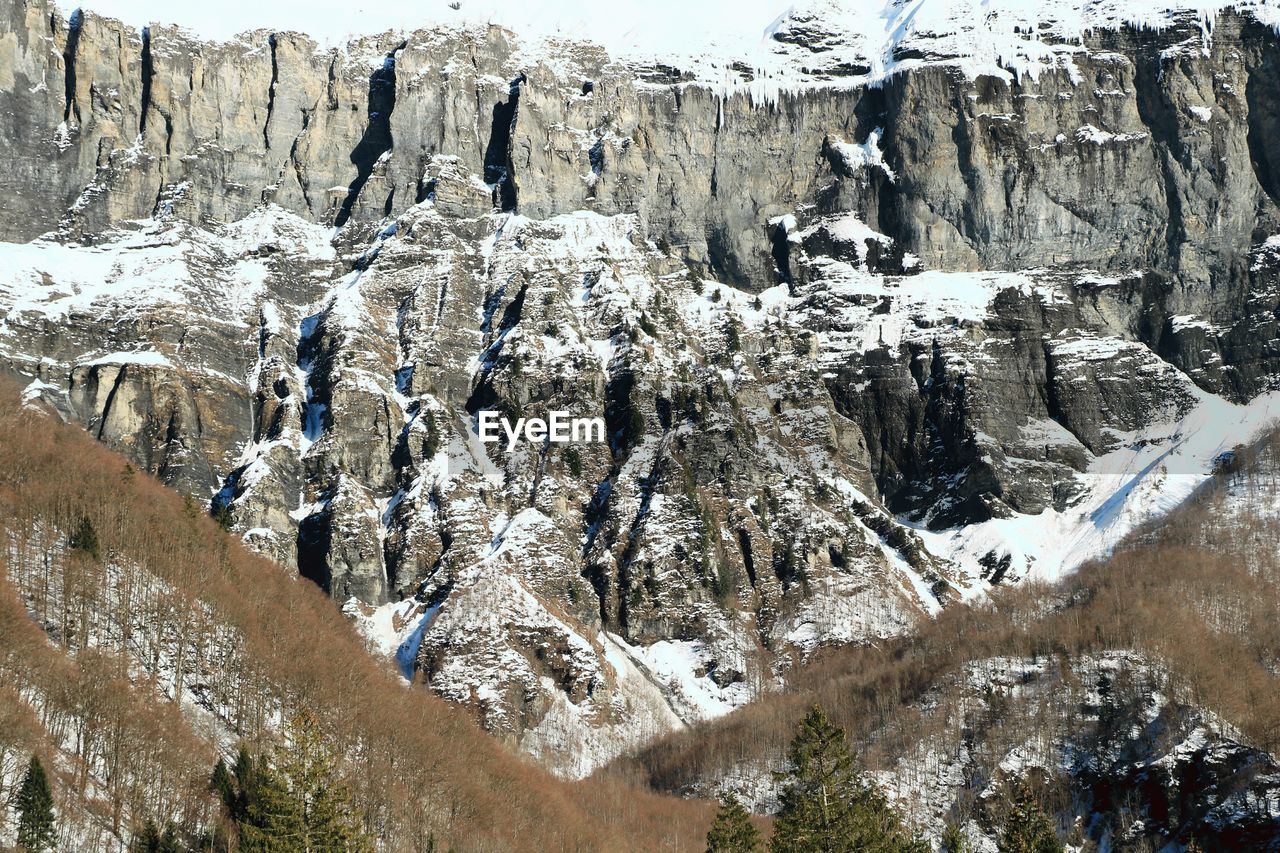 Icicles on snow covered landscape