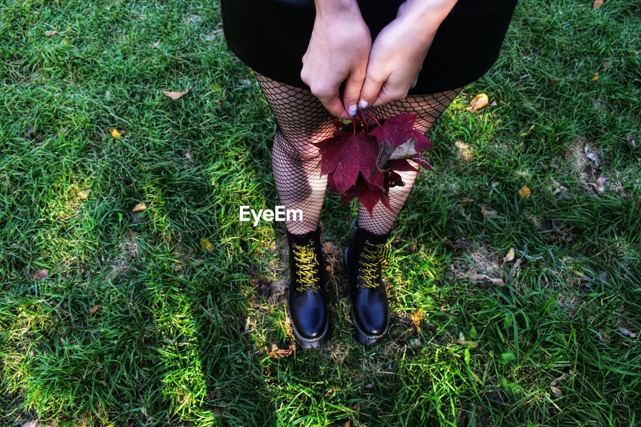 High angle view of hands holding plants on field