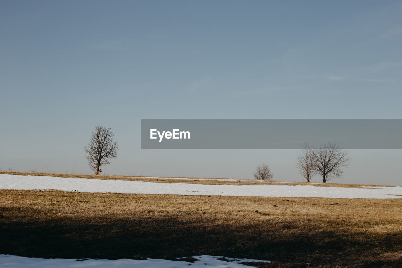 Bare trees on field against sky during winter