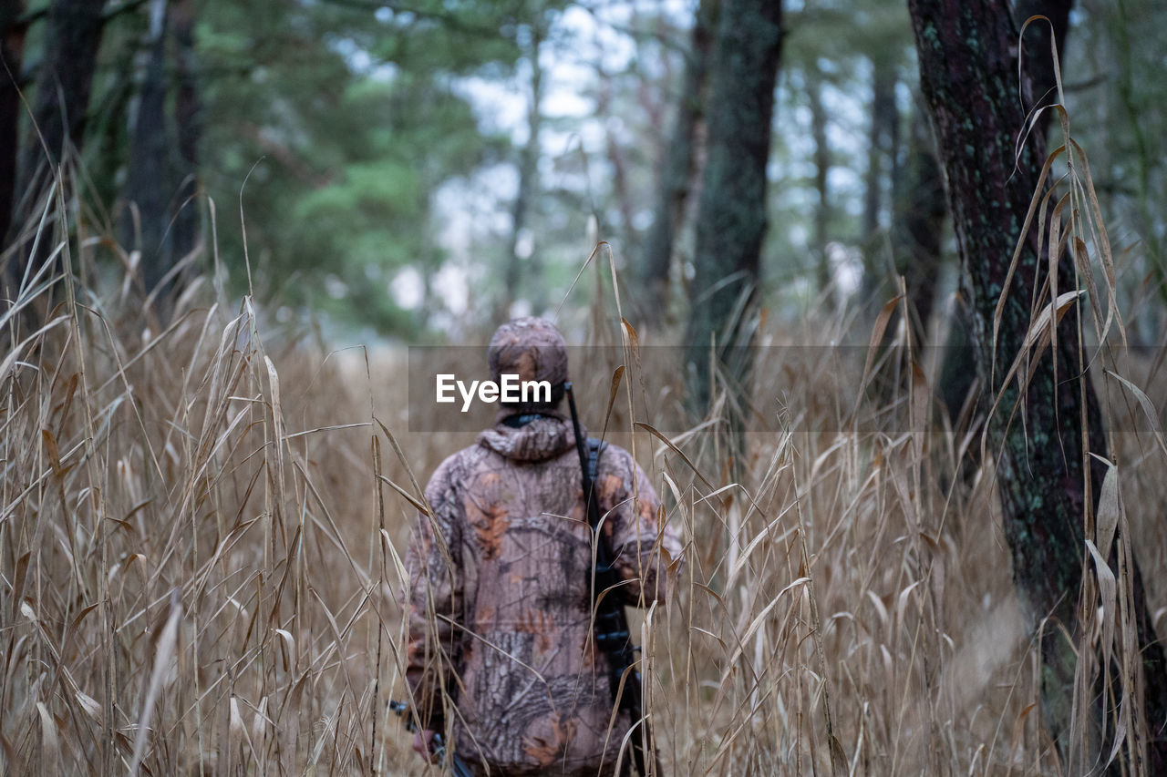 plant, tree, land, forest, nature, wildlife, one person, wilderness, rear view, natural environment, adult, outdoors, day, men, winter, standing, focus on foreground, clothing, woodland