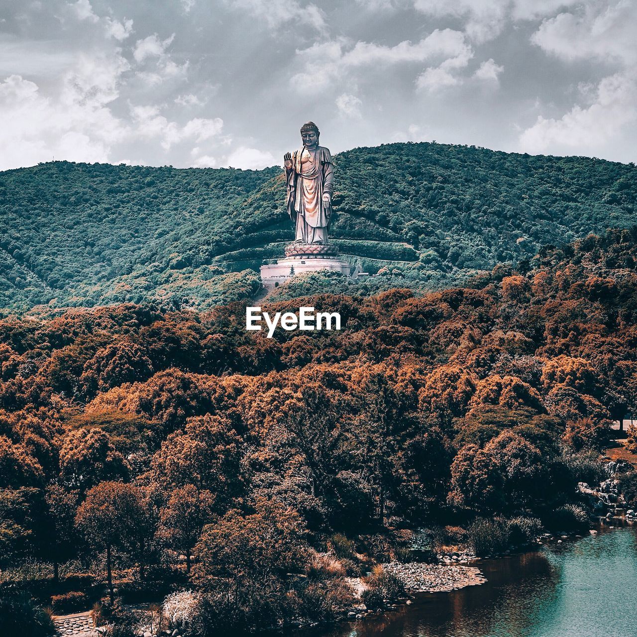 DIGITAL COMPOSITE IMAGE OF TREES AND PLANTS AGAINST SKY