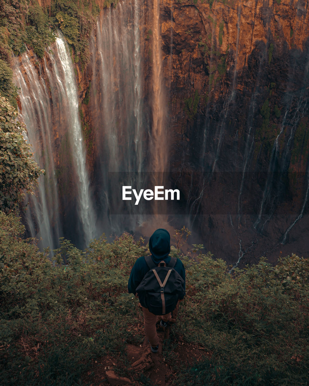 Rear view of man looking at waterfall in forest