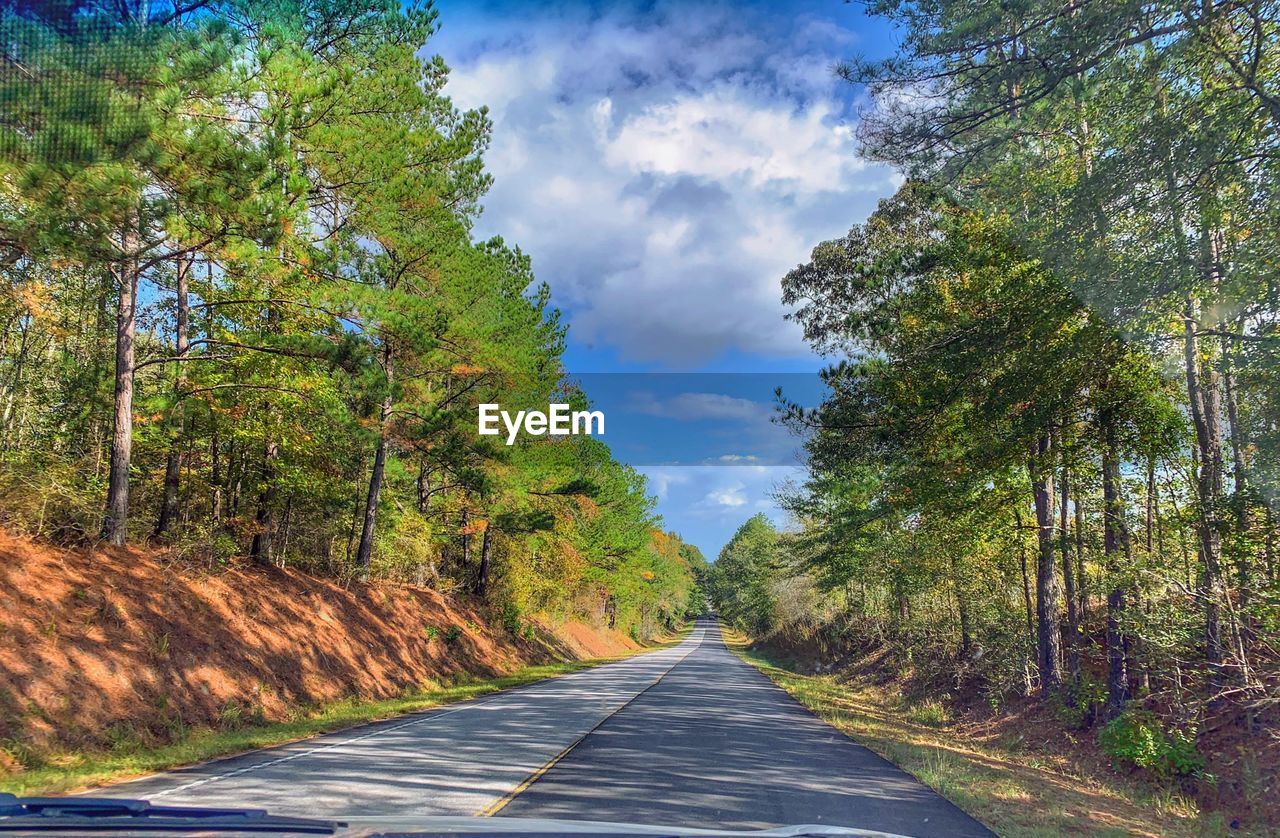 Empty road amidst trees against sky