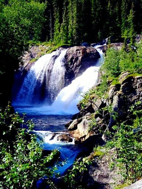 STREAM FLOWING THROUGH ROCKS IN FOREST