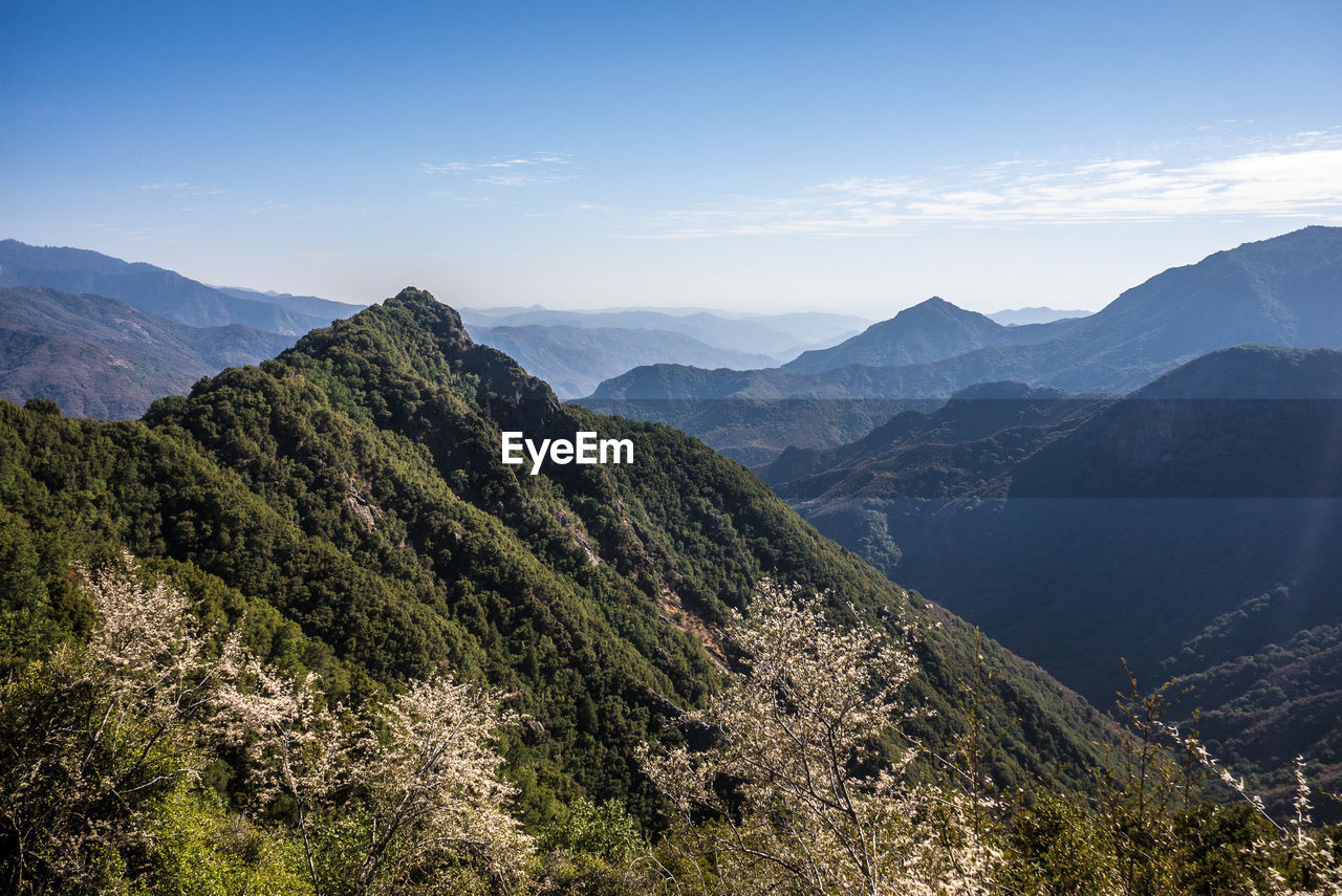 Idyllic shot of mountains in sequoia national park against sky