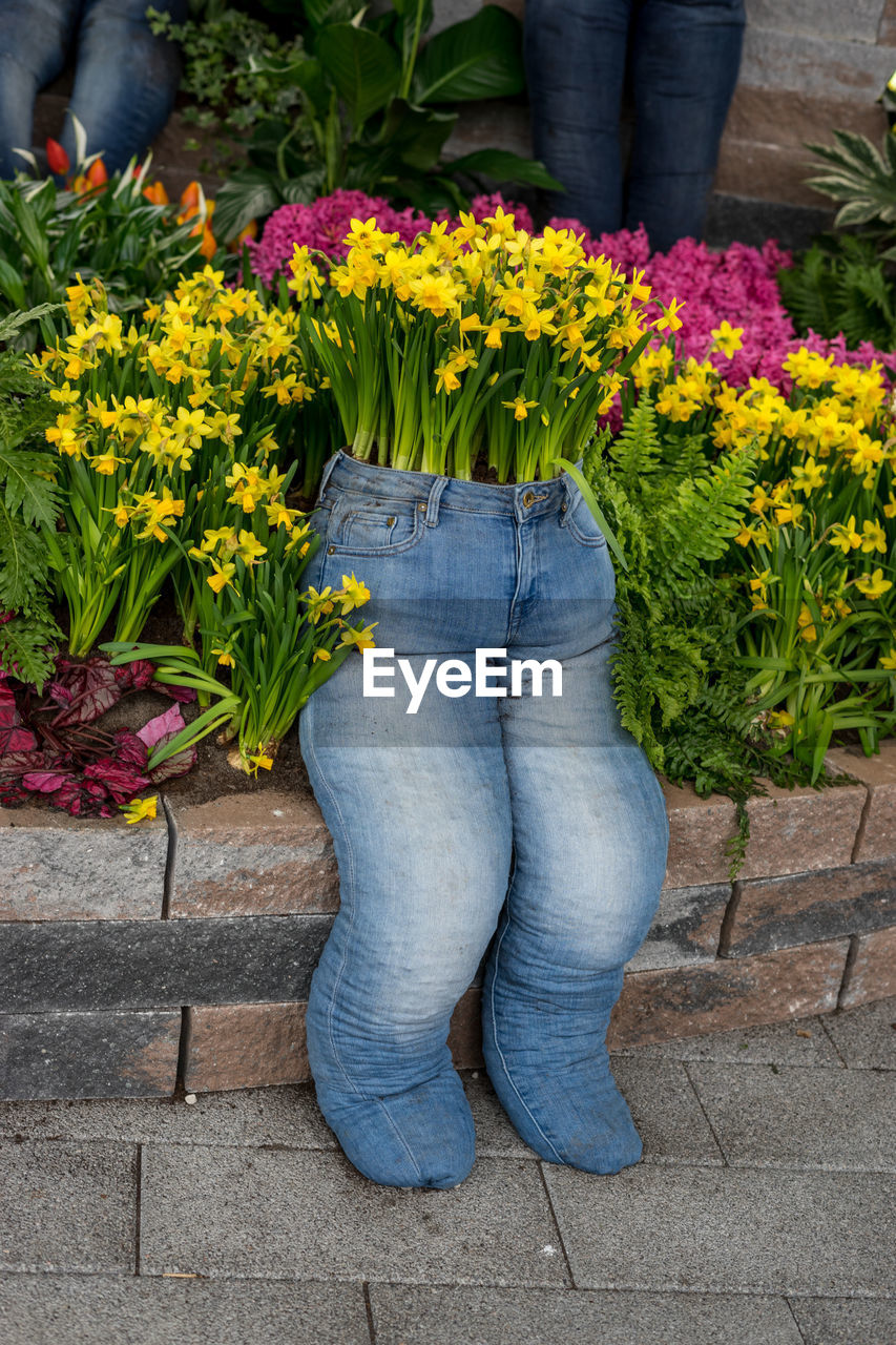 LOW SECTION OF PERSON STANDING BY FLOWER POT ON SIDEWALK