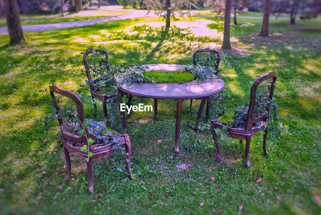 EMPTY CHAIRS AND TABLE ON FIELD IN PARK