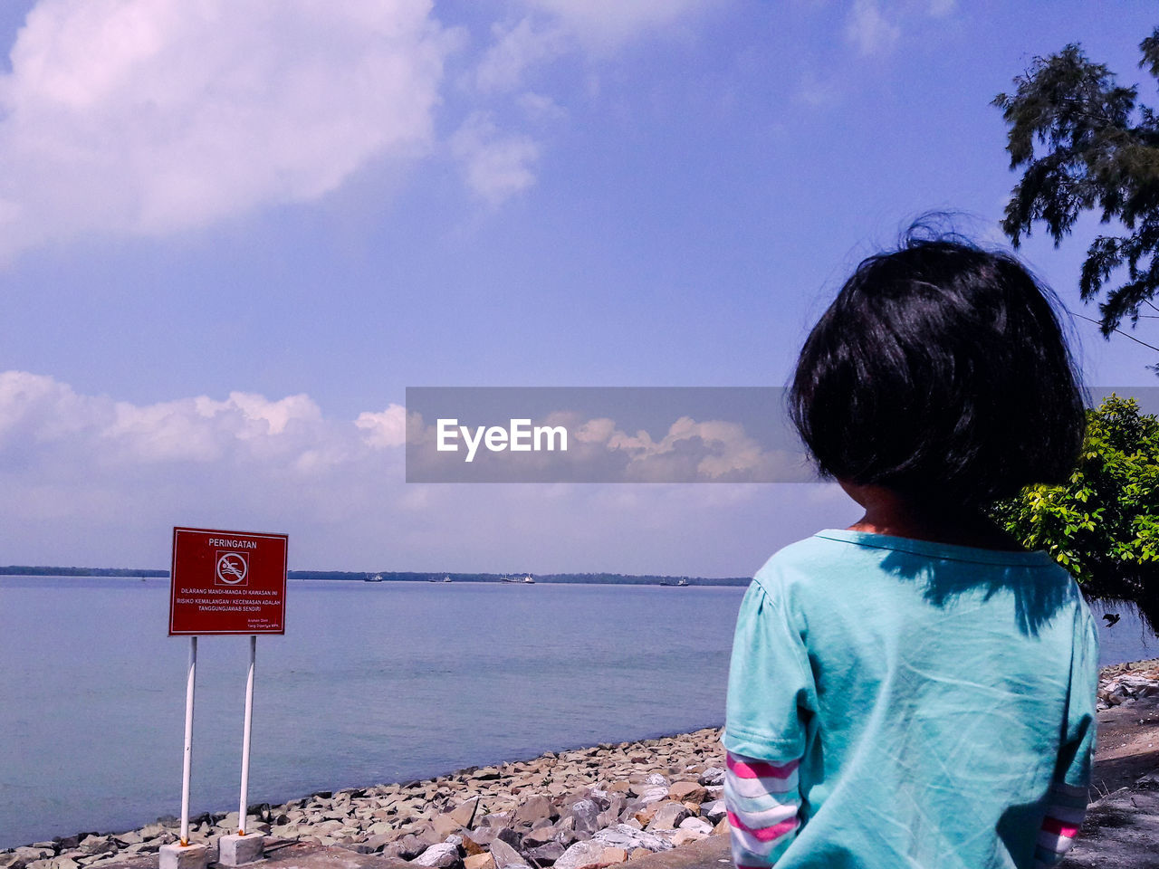 Rear view of girl looking at sea against sky