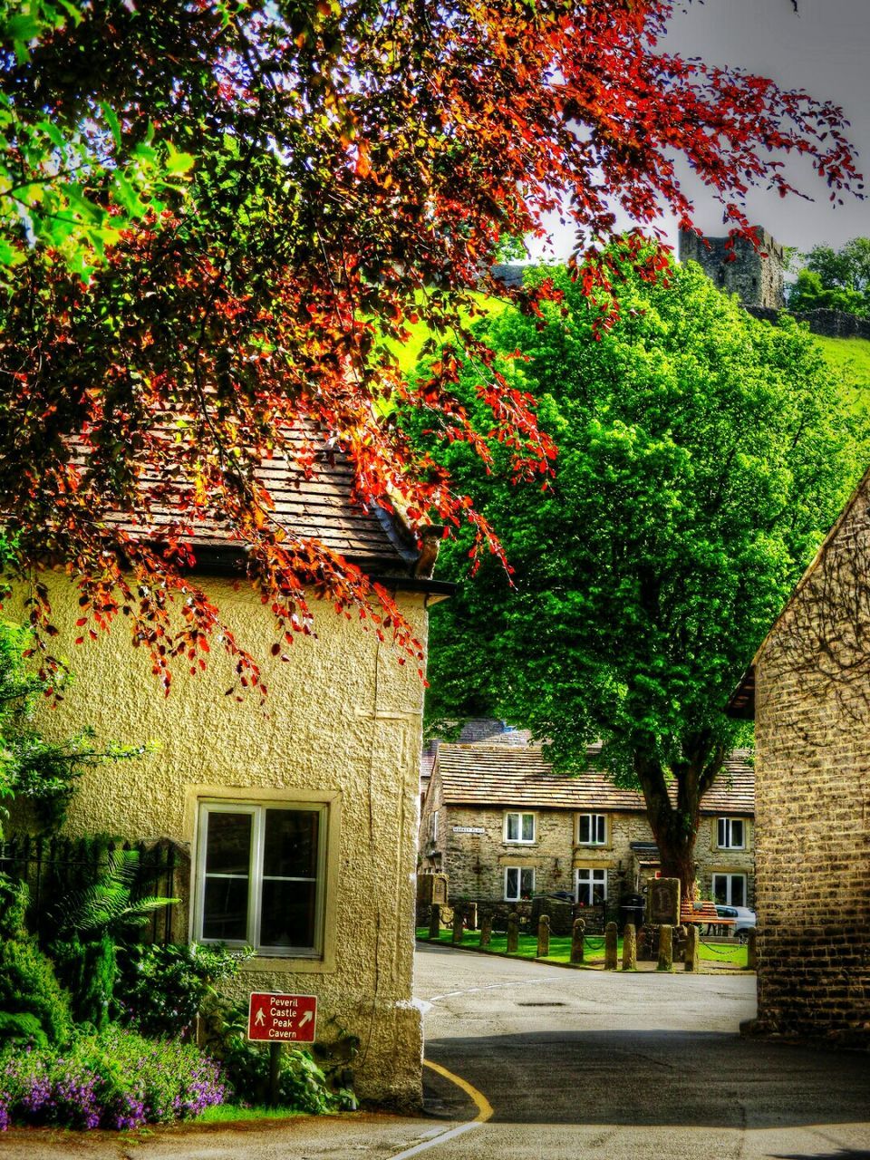 VIEW OF TREES AND HOUSES