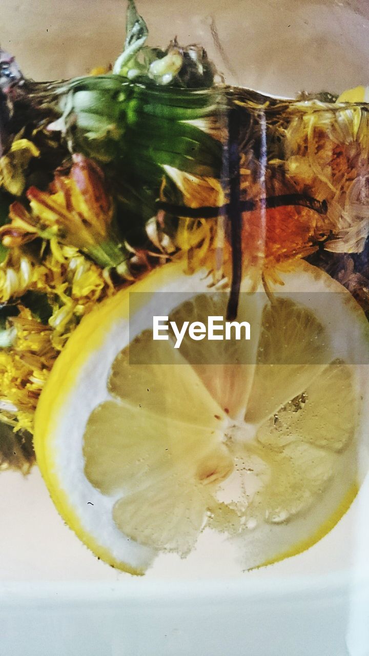 Close-up of fresh lemonade with dandelion