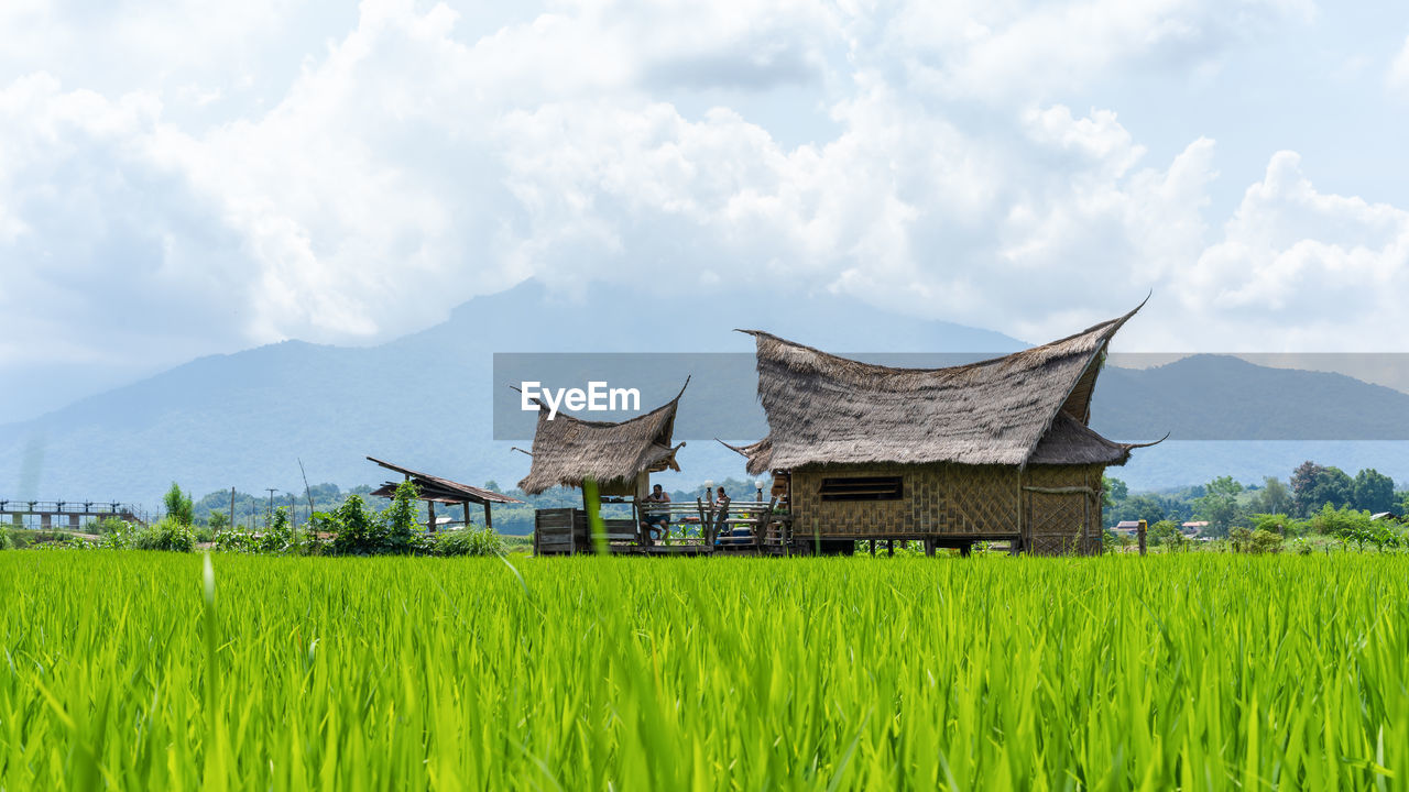 Traditional windmill on field against sky