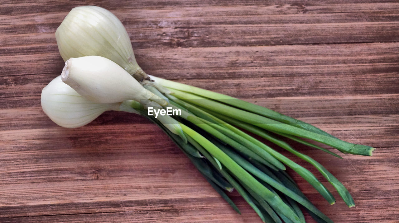 High angle view of scallions on wooden table