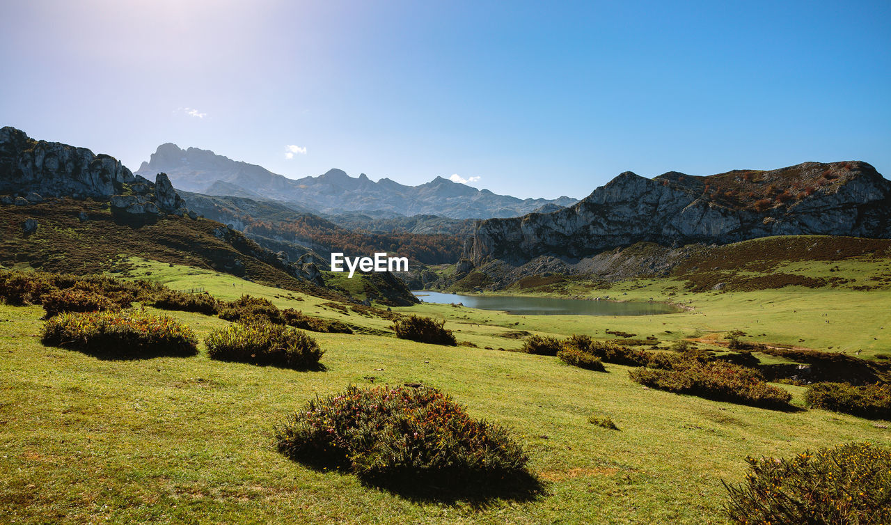 Scenic view of landscape against clear sky