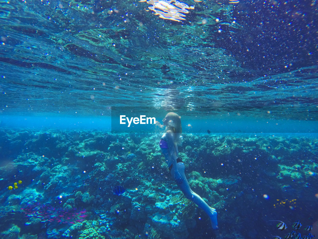 Woman swimming in sea