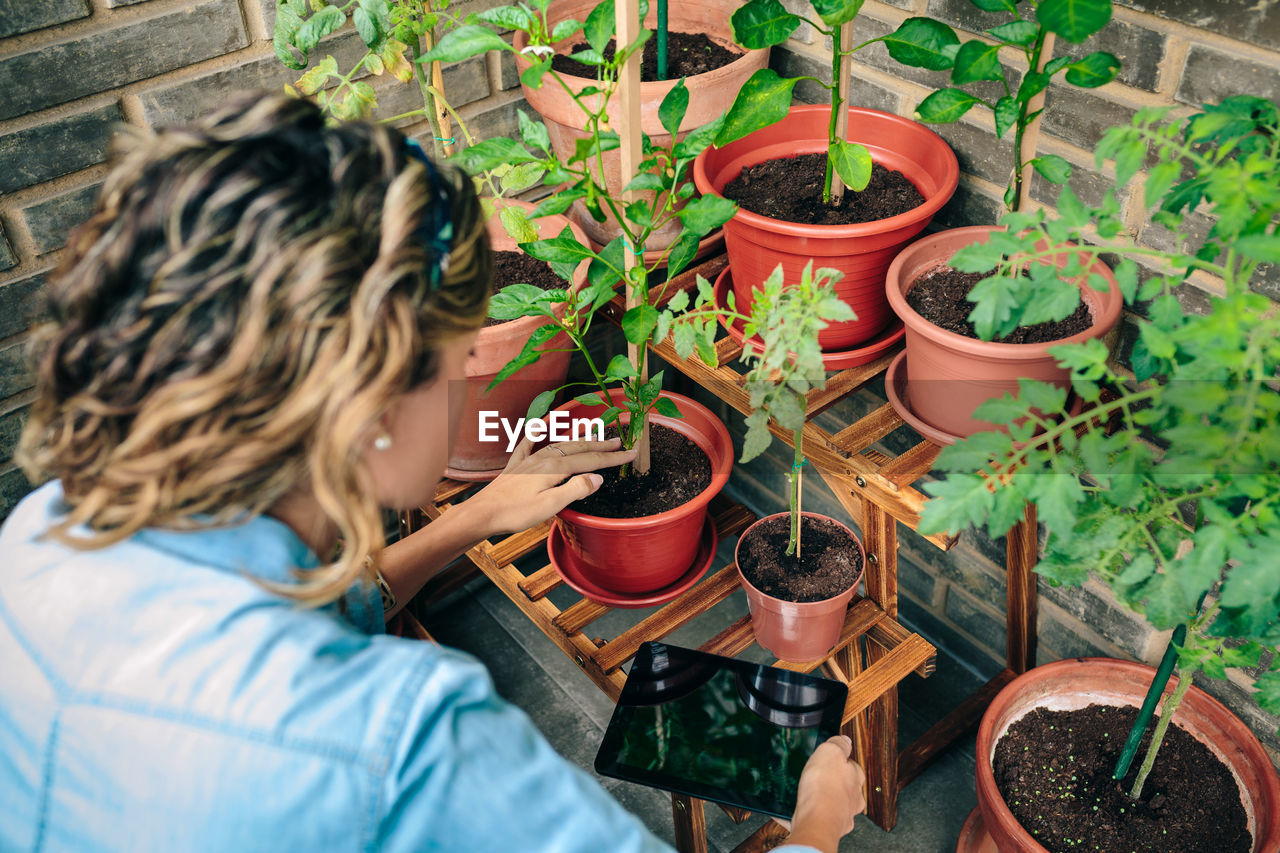 Woman using digital tablet while caring plants of urban garden on terrace