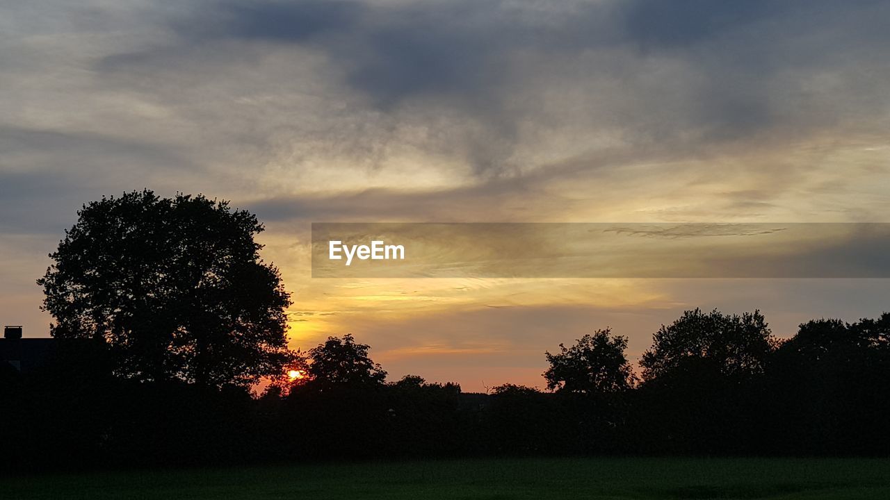 SILHOUETTE OF TREES AT SUNSET