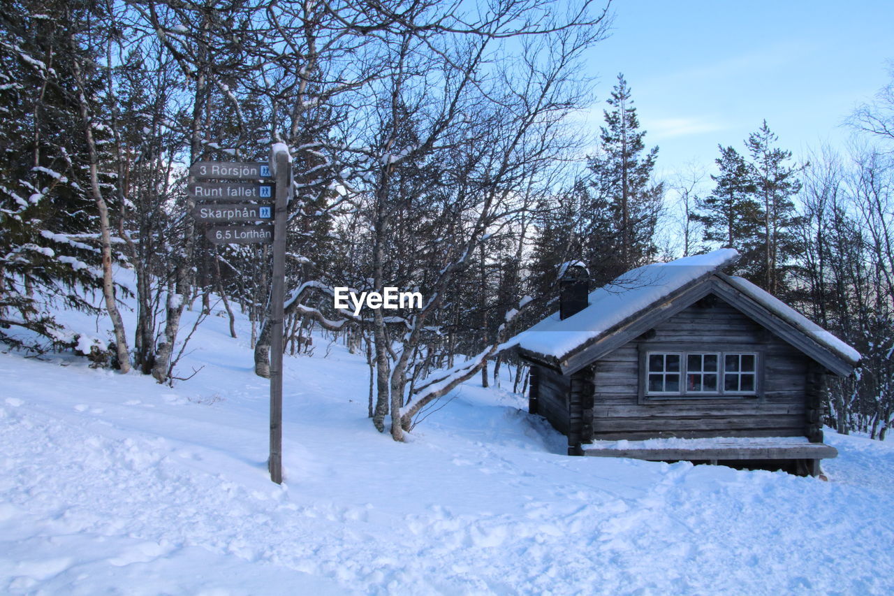 SNOW COVERED TREES AND COTTAGE