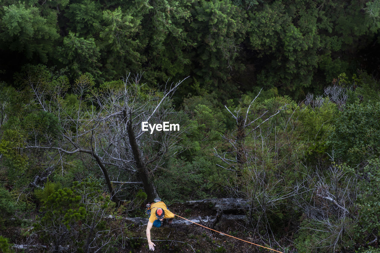 Man rock climbing in the woods to ledge top rope squamish chief