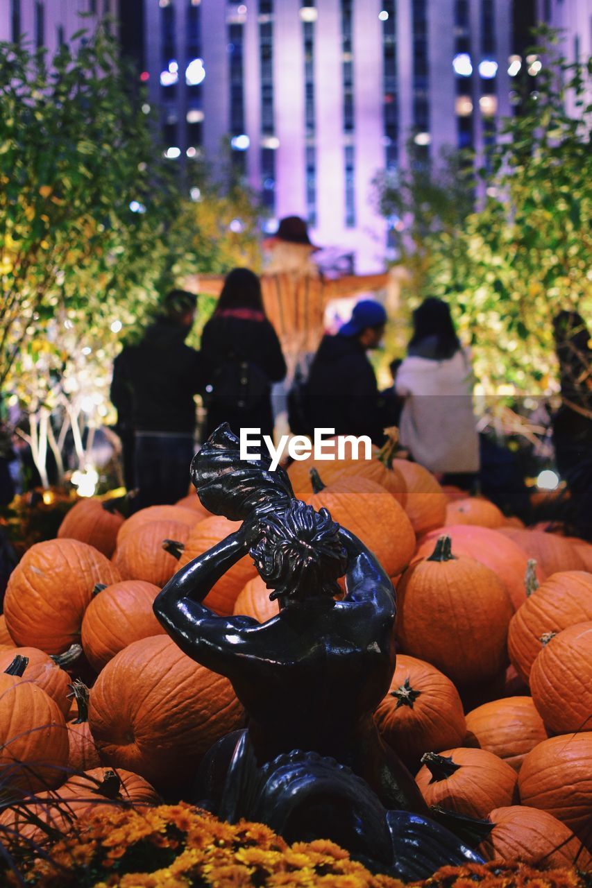 VIEW OF PUMPKINS IN MARKET